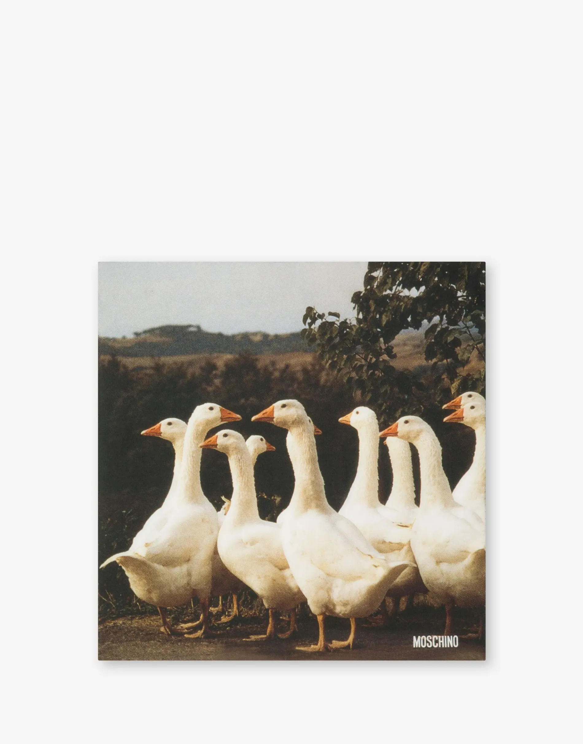 Fashion Goose Print Silk Scarf Scarves & Foulard