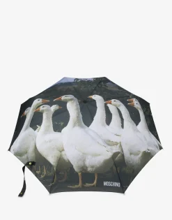 Hot Openclose Goose Print Umbrella Umbrellas